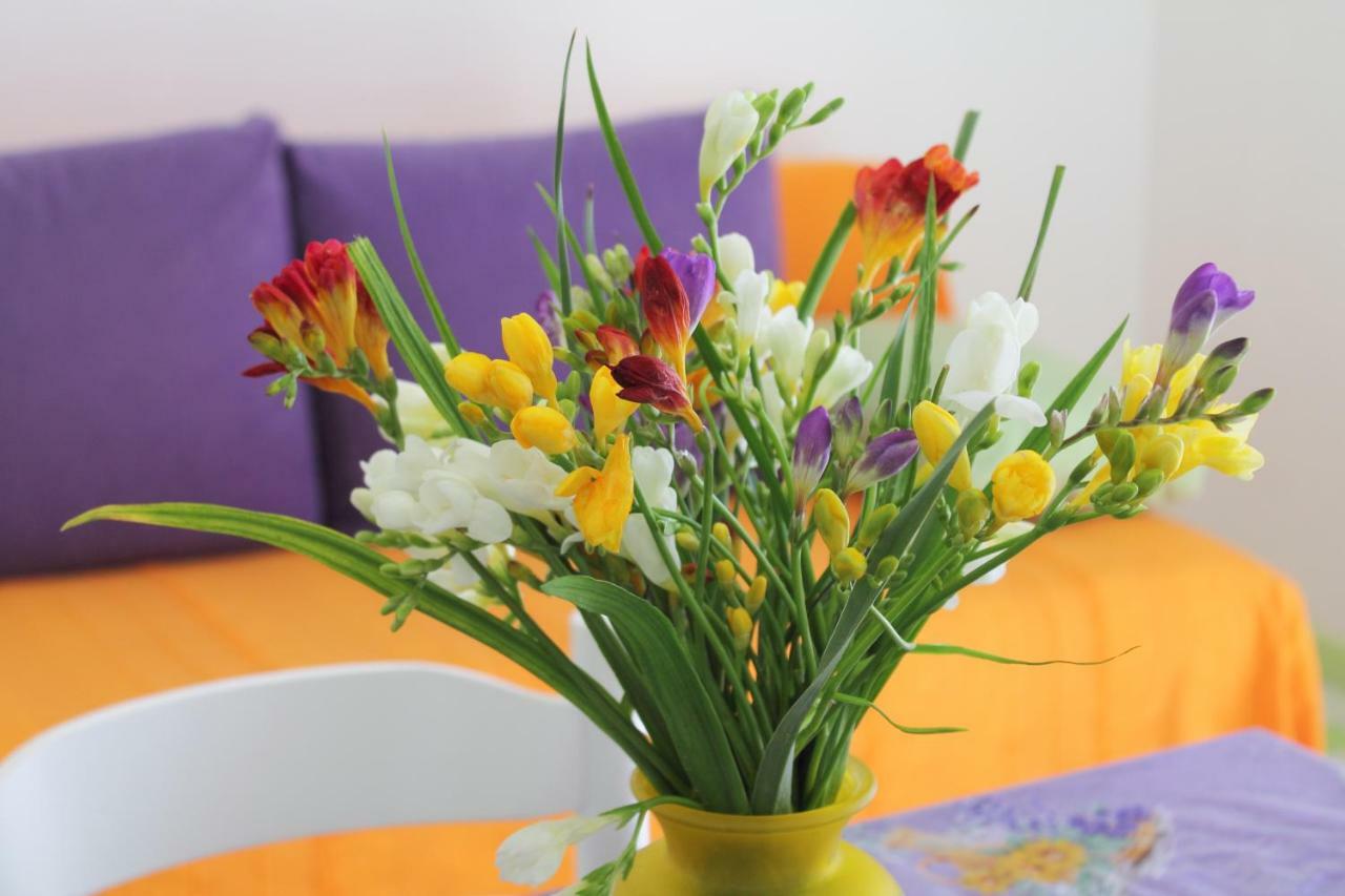 Apartments Nejasmic - Little House For Peaceful And Domestic Vacation Бол Экстерьер фото