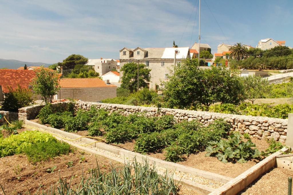 Apartments Nejasmic - Little House For Peaceful And Domestic Vacation Бол Экстерьер фото